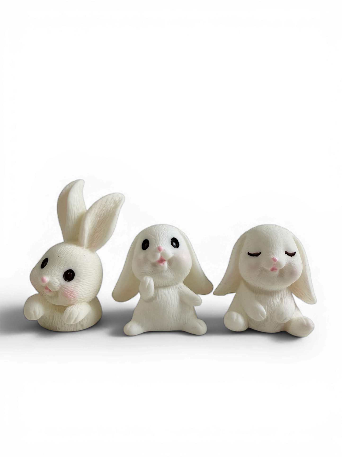 Bunny Buddies 🐰