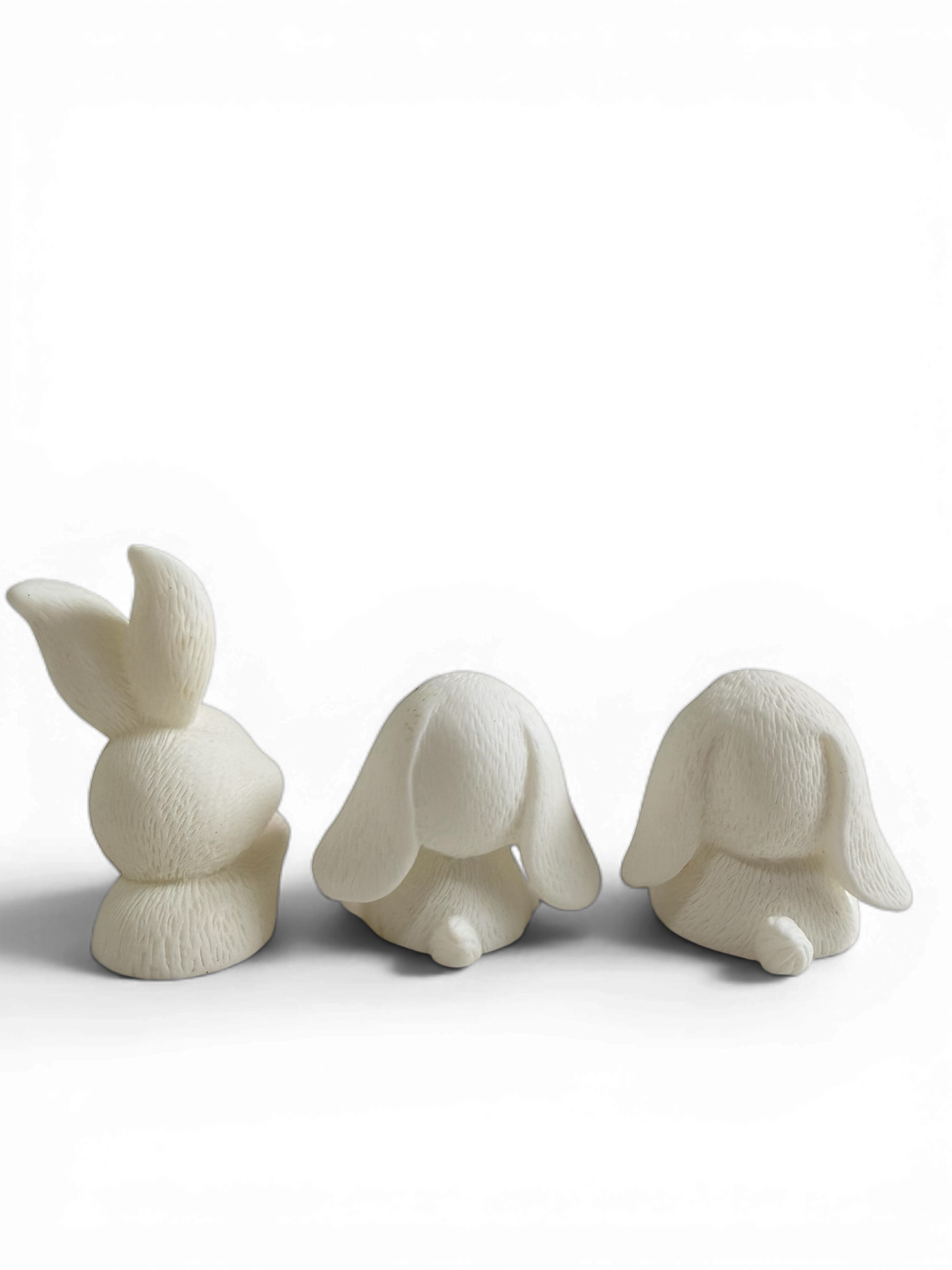 Bunny Buddies 🐰